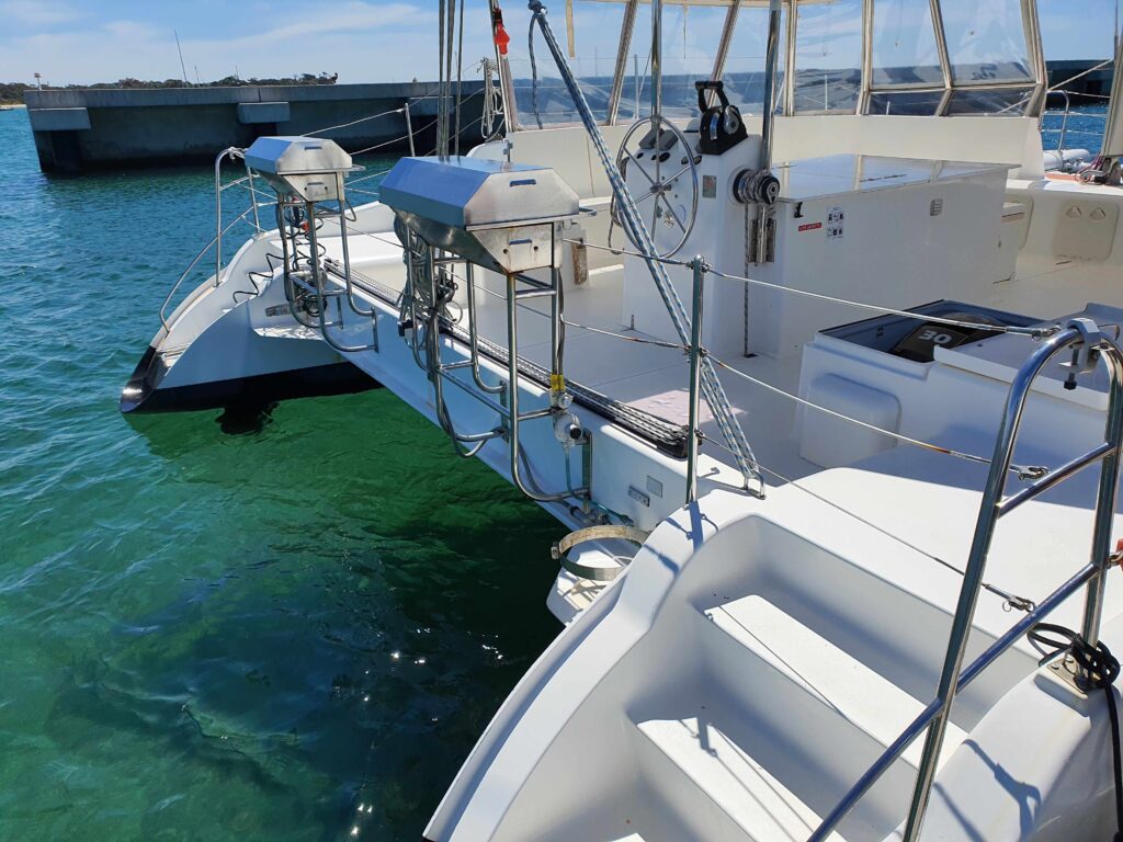 Dolphin_photo_4_SHOPPED_850